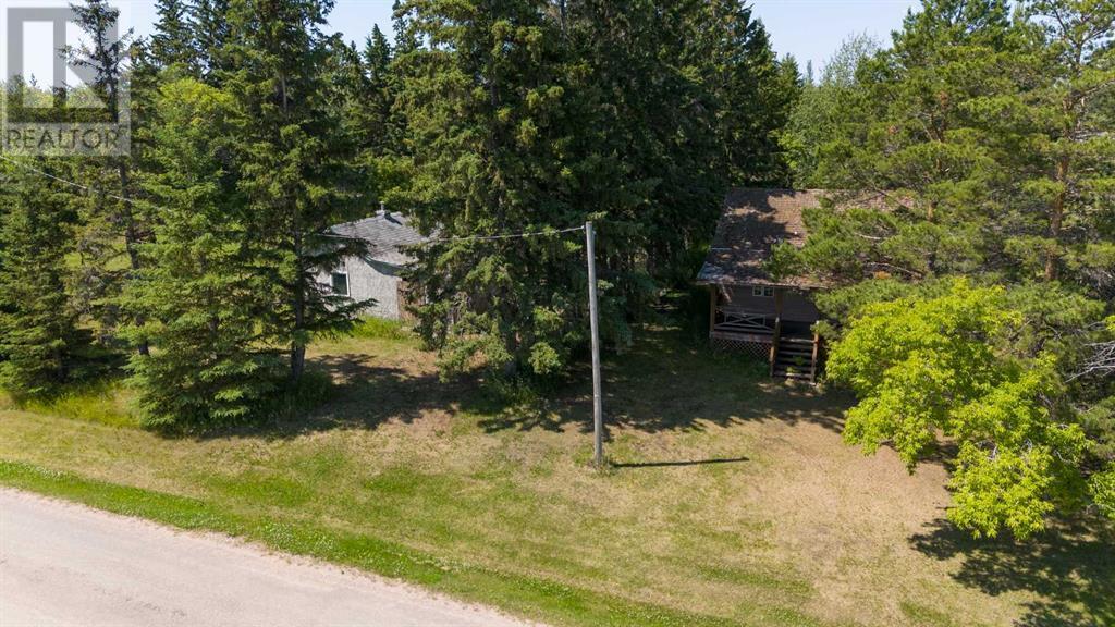 Property Photo: 49074911 51 Street AB T0B 4G0