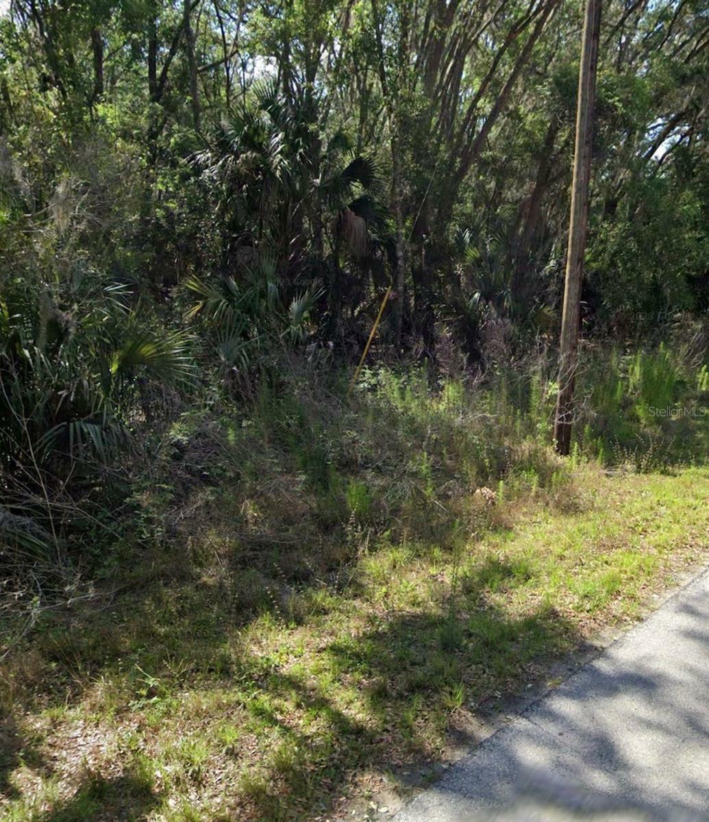 Property Photo:  8099 W Catrina Lane  FL 34428 