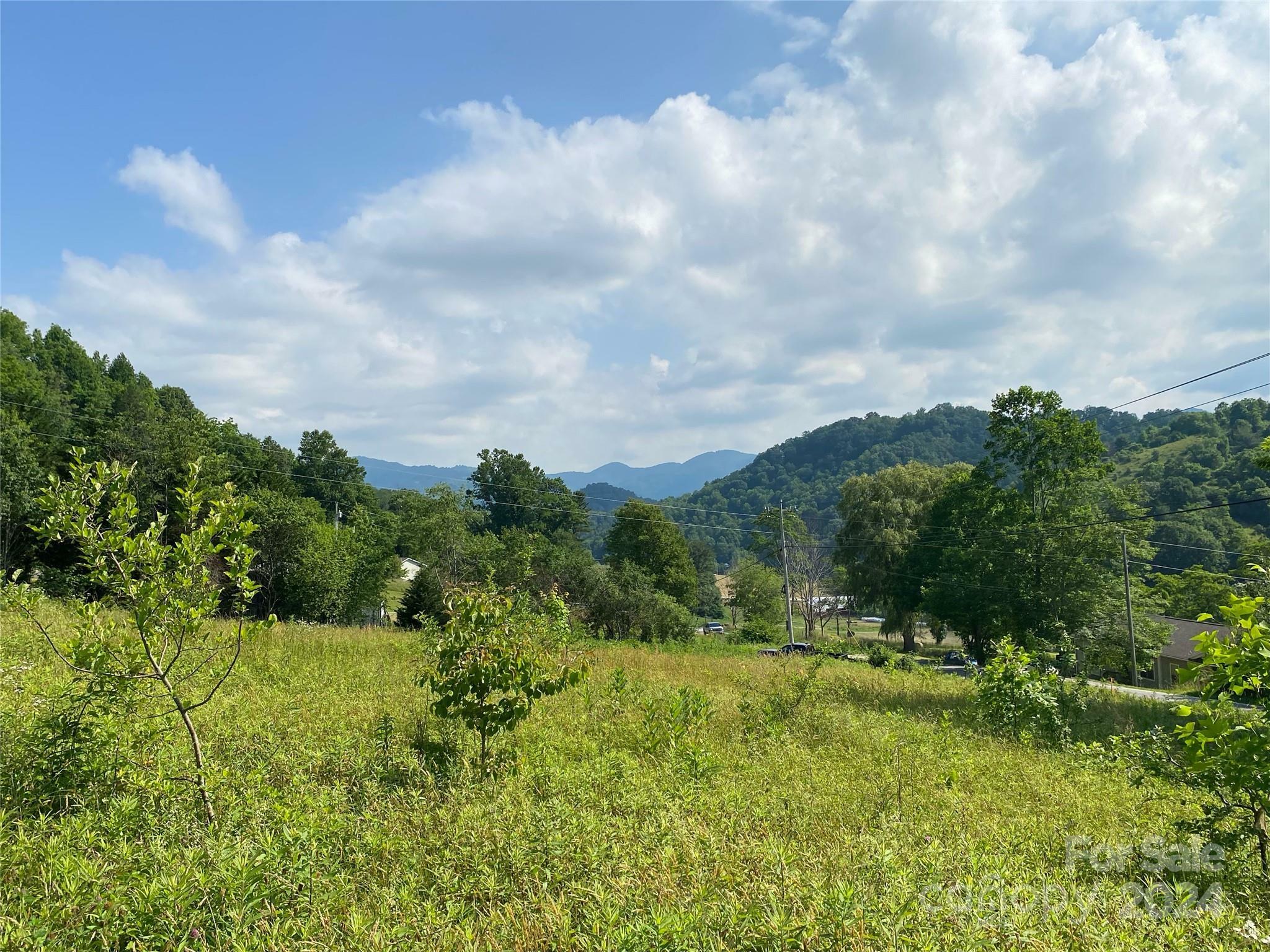 Property Photo:  00000 Rush Fork Road  NC 28721 