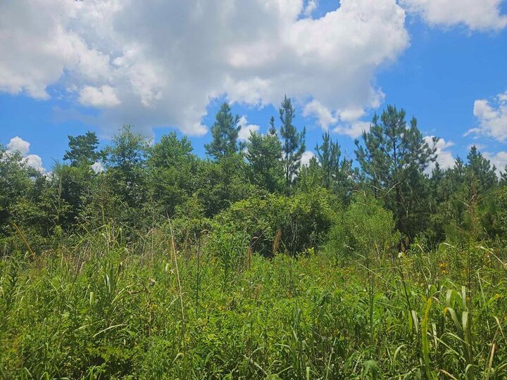 Property Photo:  1455 Neal Road  TX 75949 
