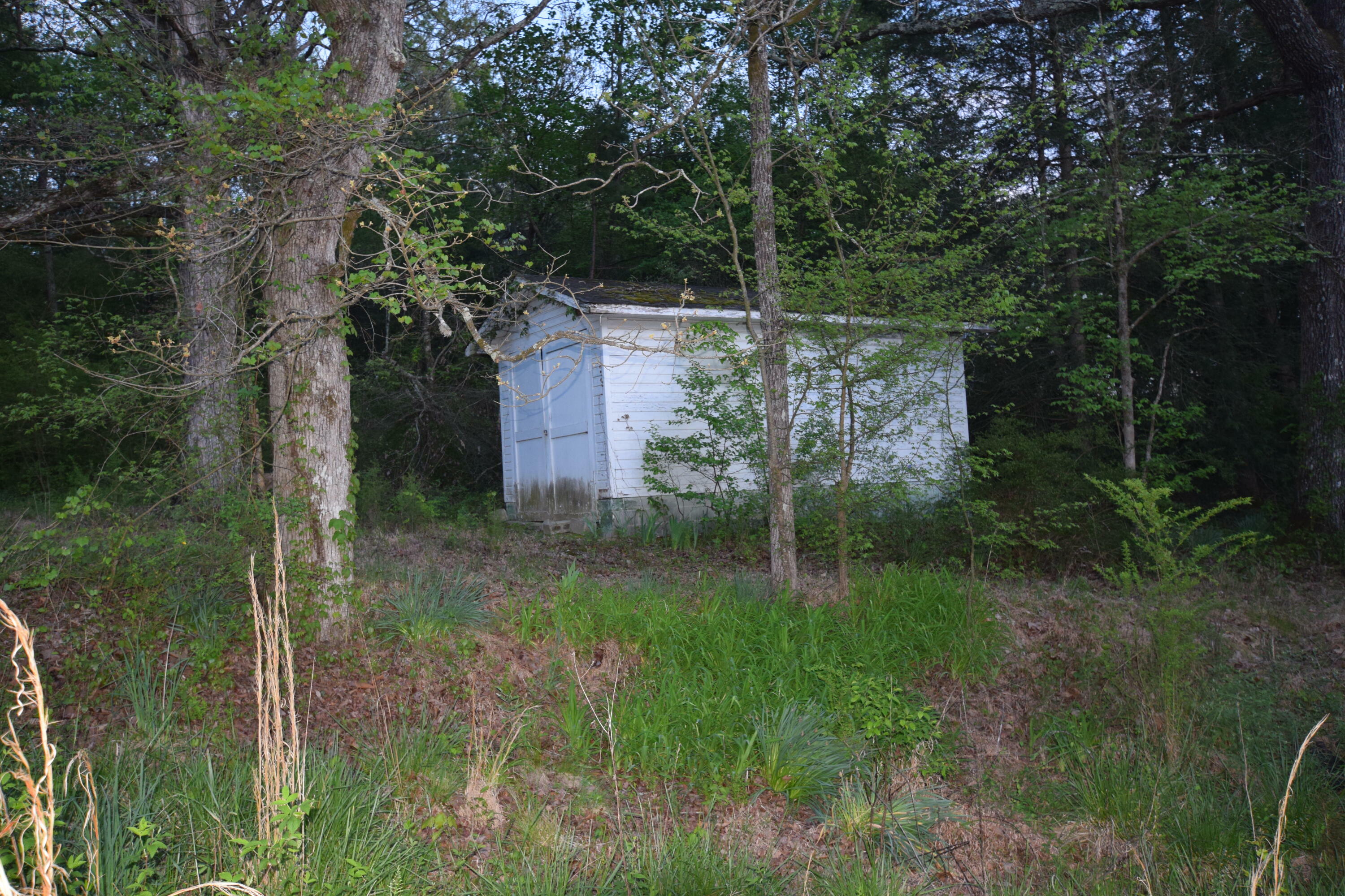 Property Photo:  000 Old Stage Road  TN 37381 