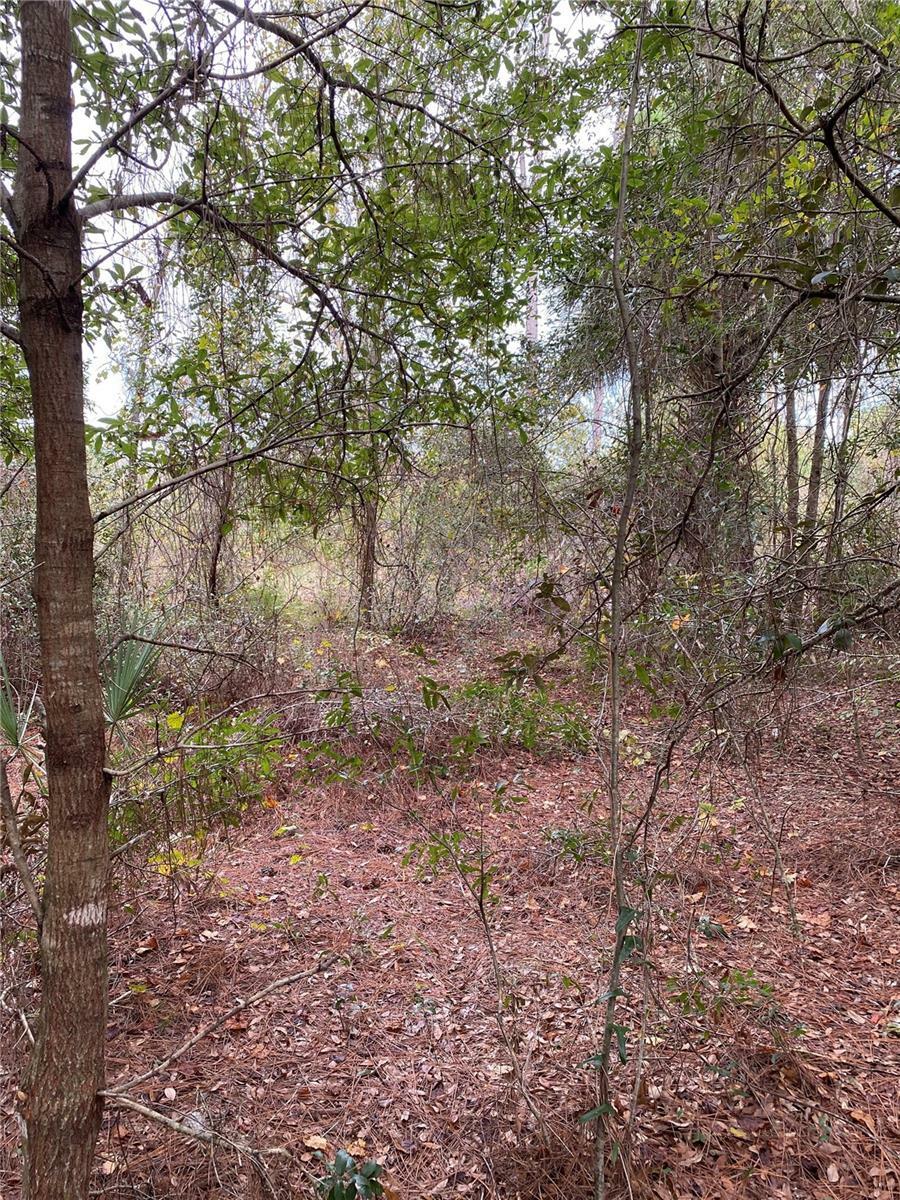 Property Photo:  Lakeside Drive  FL 32720 