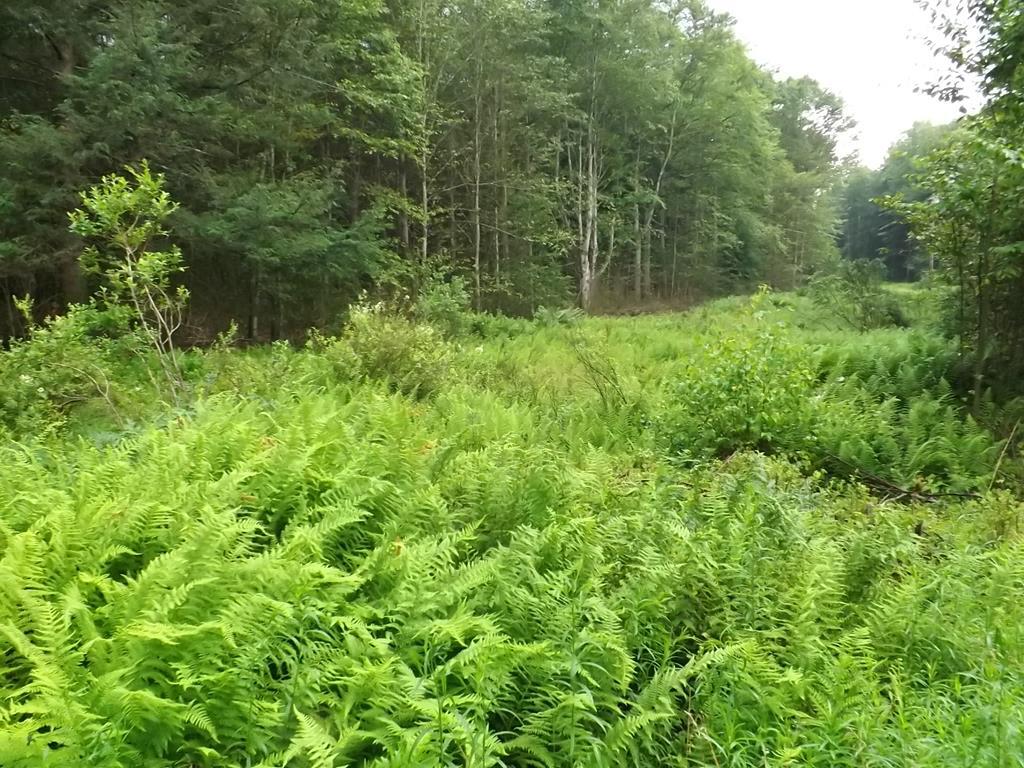 Property Photo:  0 Mullen Lane  PA 18833 