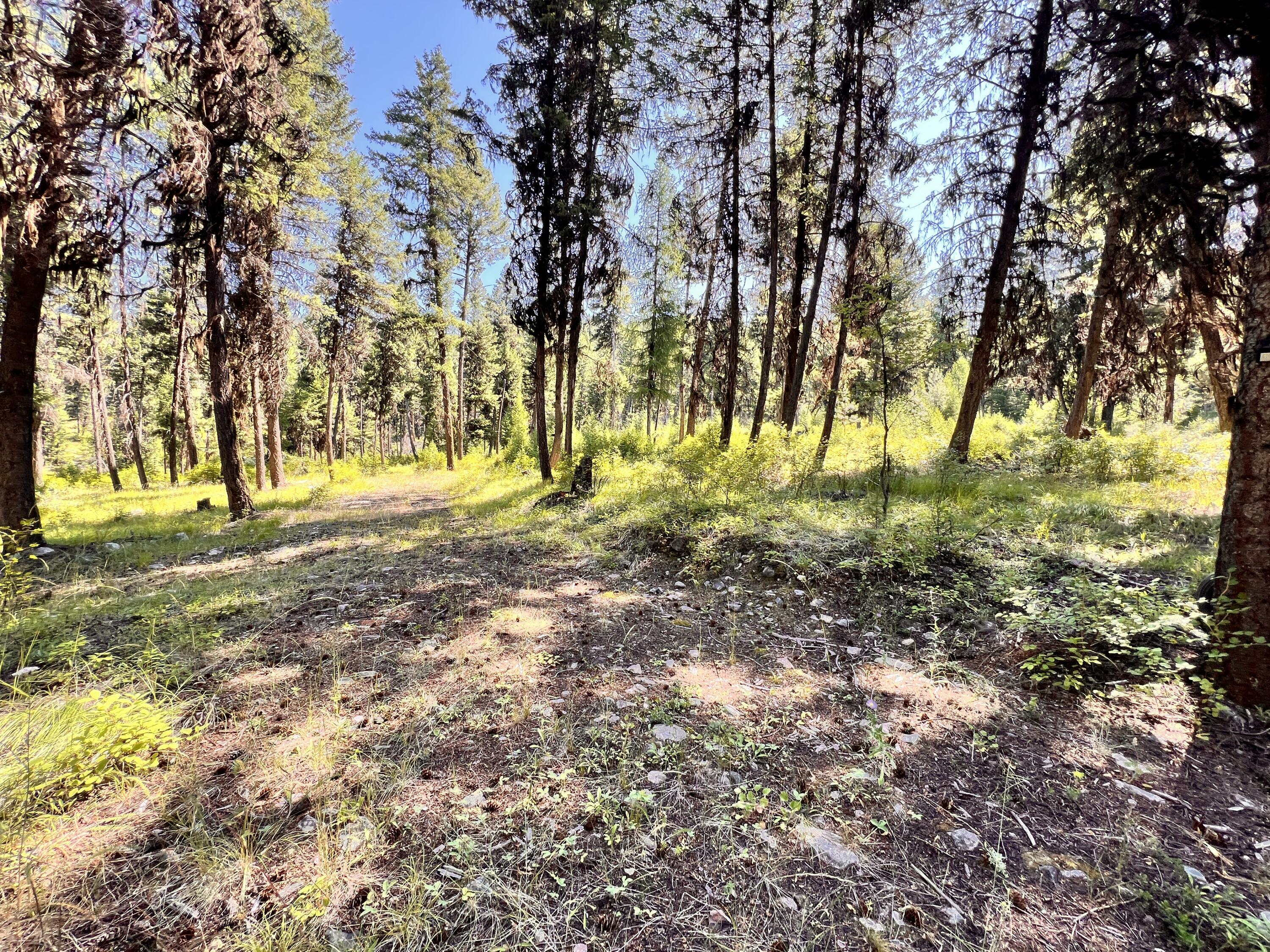 Property Photo:  40 Excelsior Way  WA 99118 