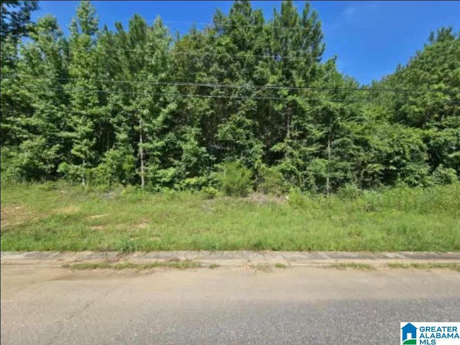 Property Photo:  Lot 4 Woodhaven Drive 4  AL 35128 