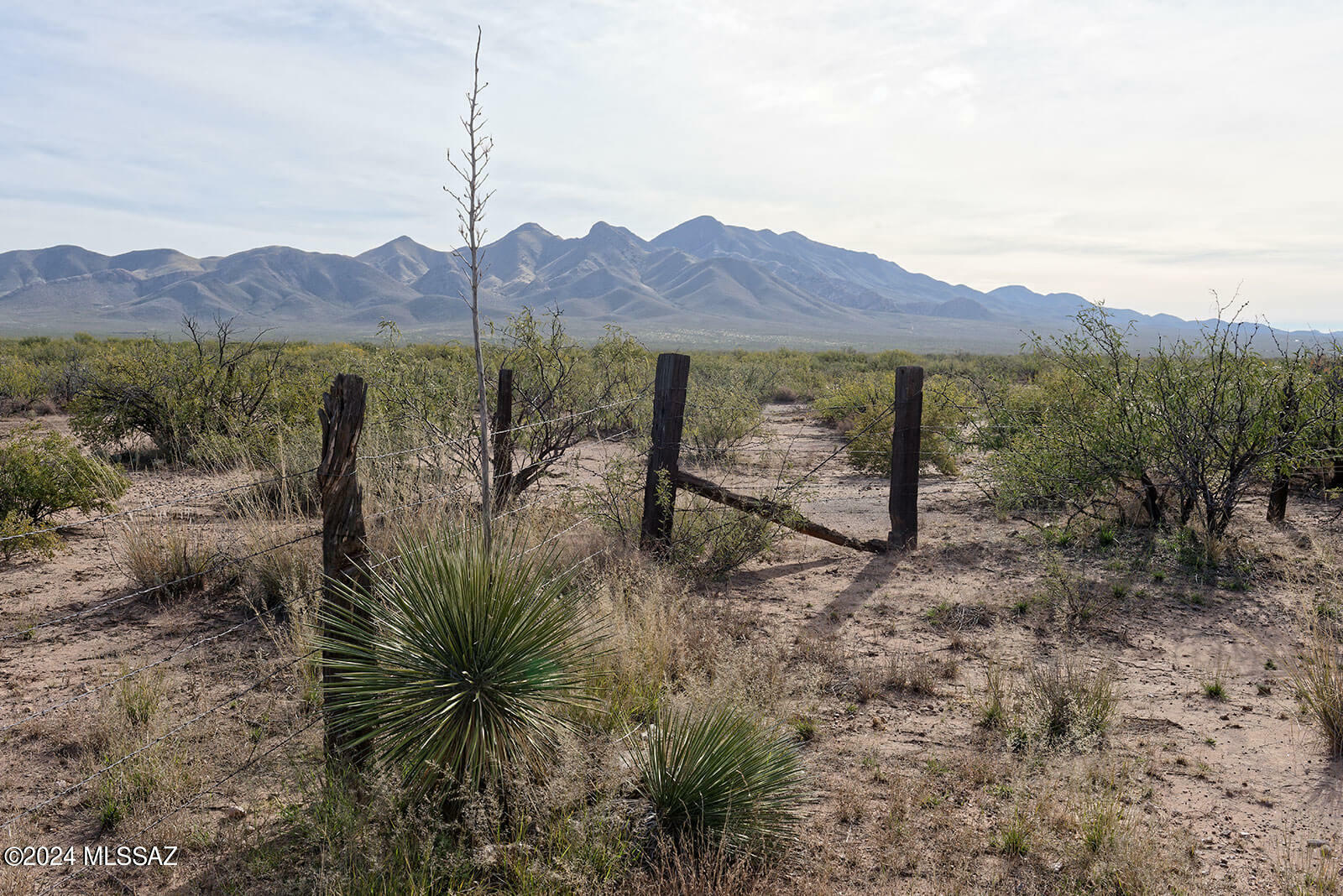 Tbd W Agua Blanca Road 1  Elfrida AZ 85610 photo