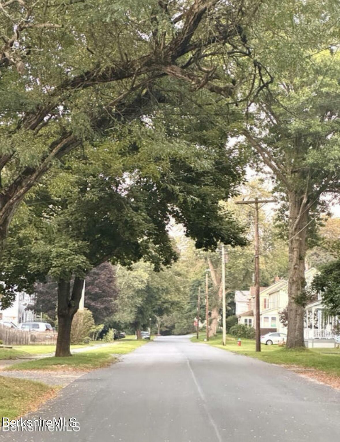 Property Photo: 0 Crane Ave MA 01226