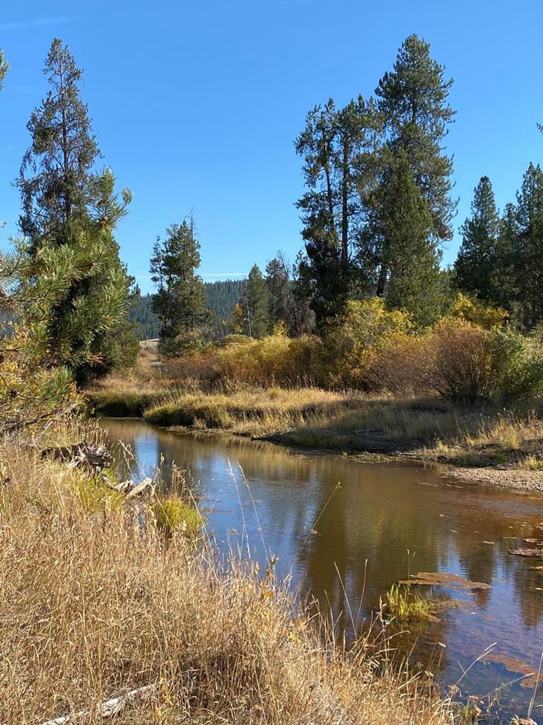 Lot 7 Empty Saddle Way  Donnelly ID 83615 photo