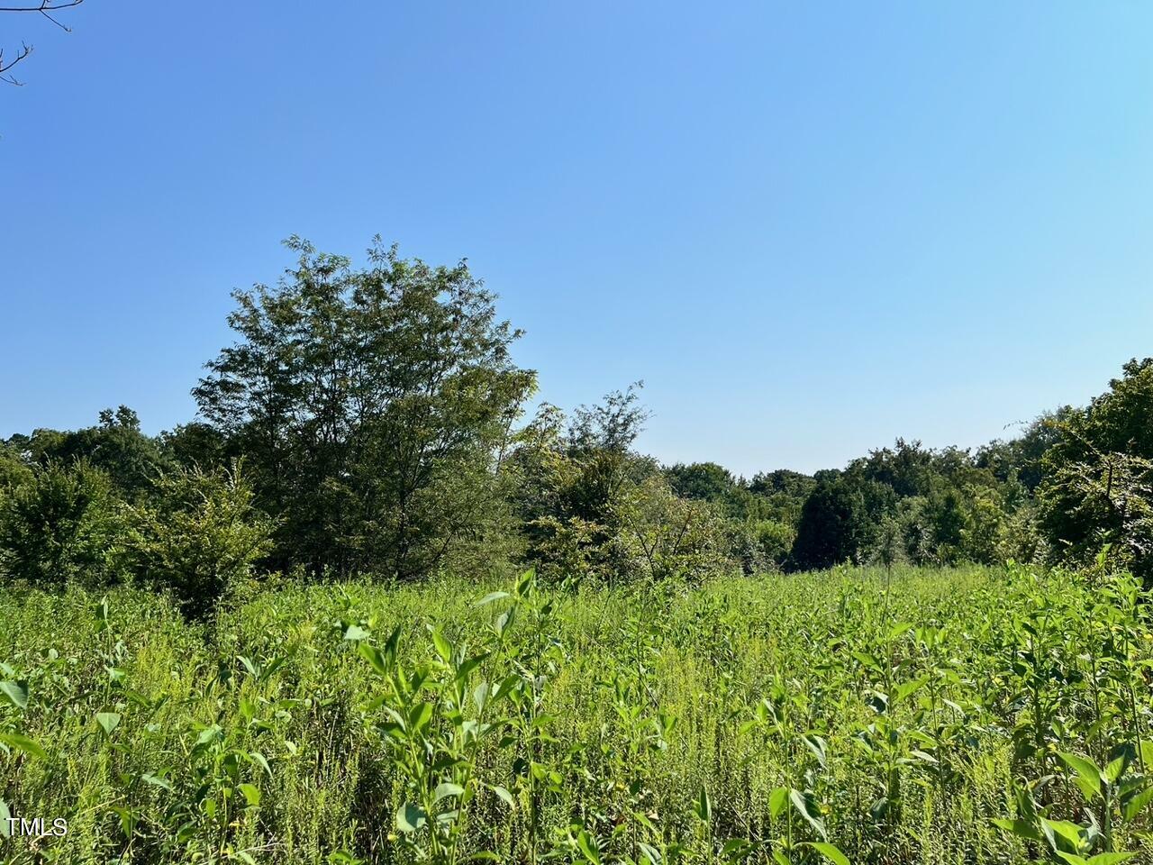 Property Photo: Tbd Bowers Store Road NC 27344