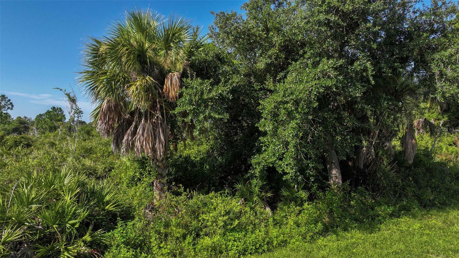 Property Photo: 12189 Grace Avenue FL 33981