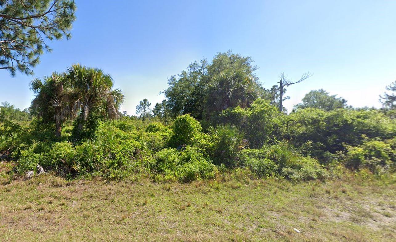 Property Photo: 12189 Grace Avenue FL 33981