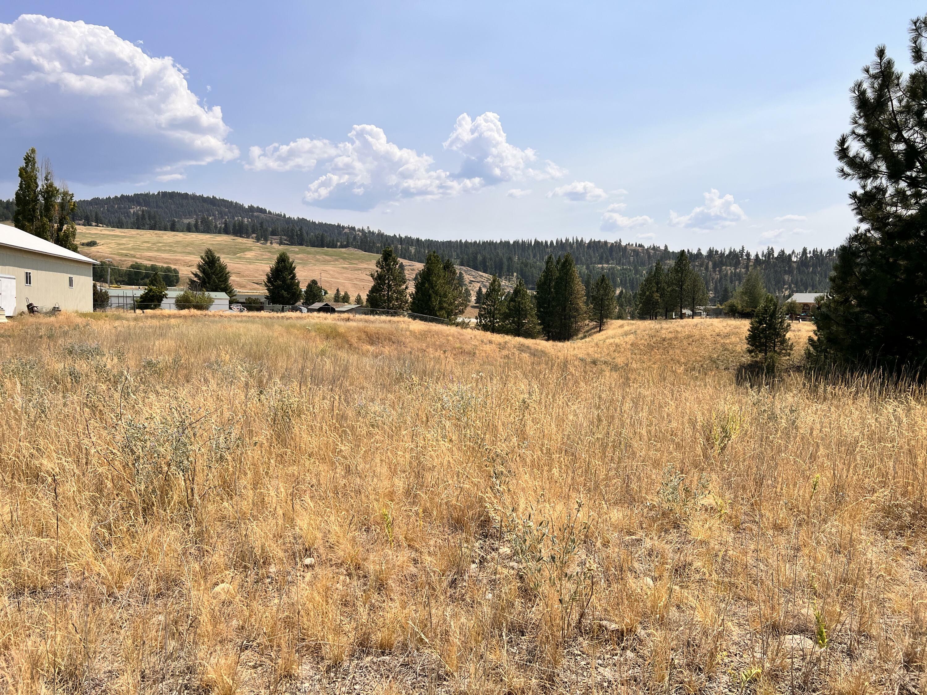 Property Photo:  Tbd Sandpiper Way  WA 99166 