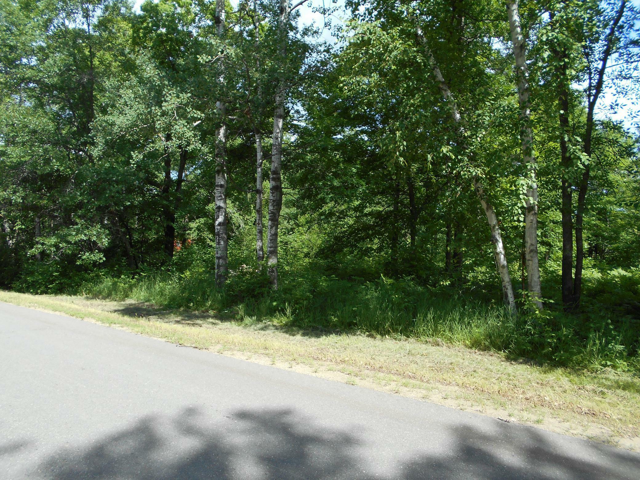 Property Photo:  Tbd Sherman Drive NE  MN 56601 