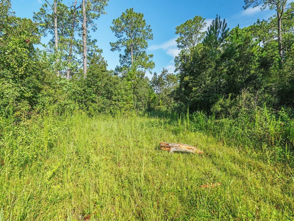 Property Photo:  0 Water Oak Road   30397 