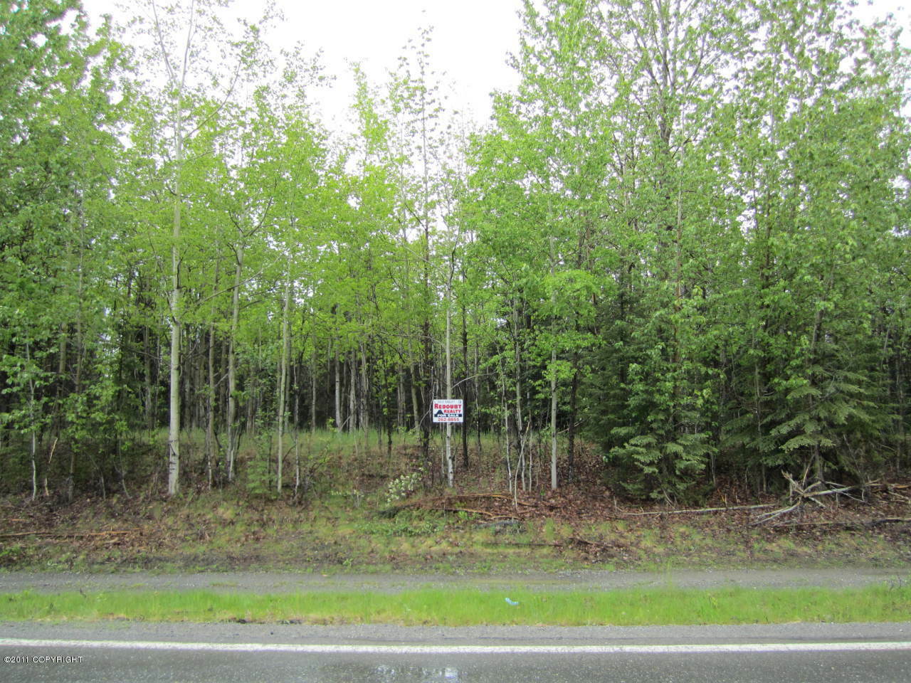 Property Photo:  L20 B4 Sandy Circle  AK 99669 