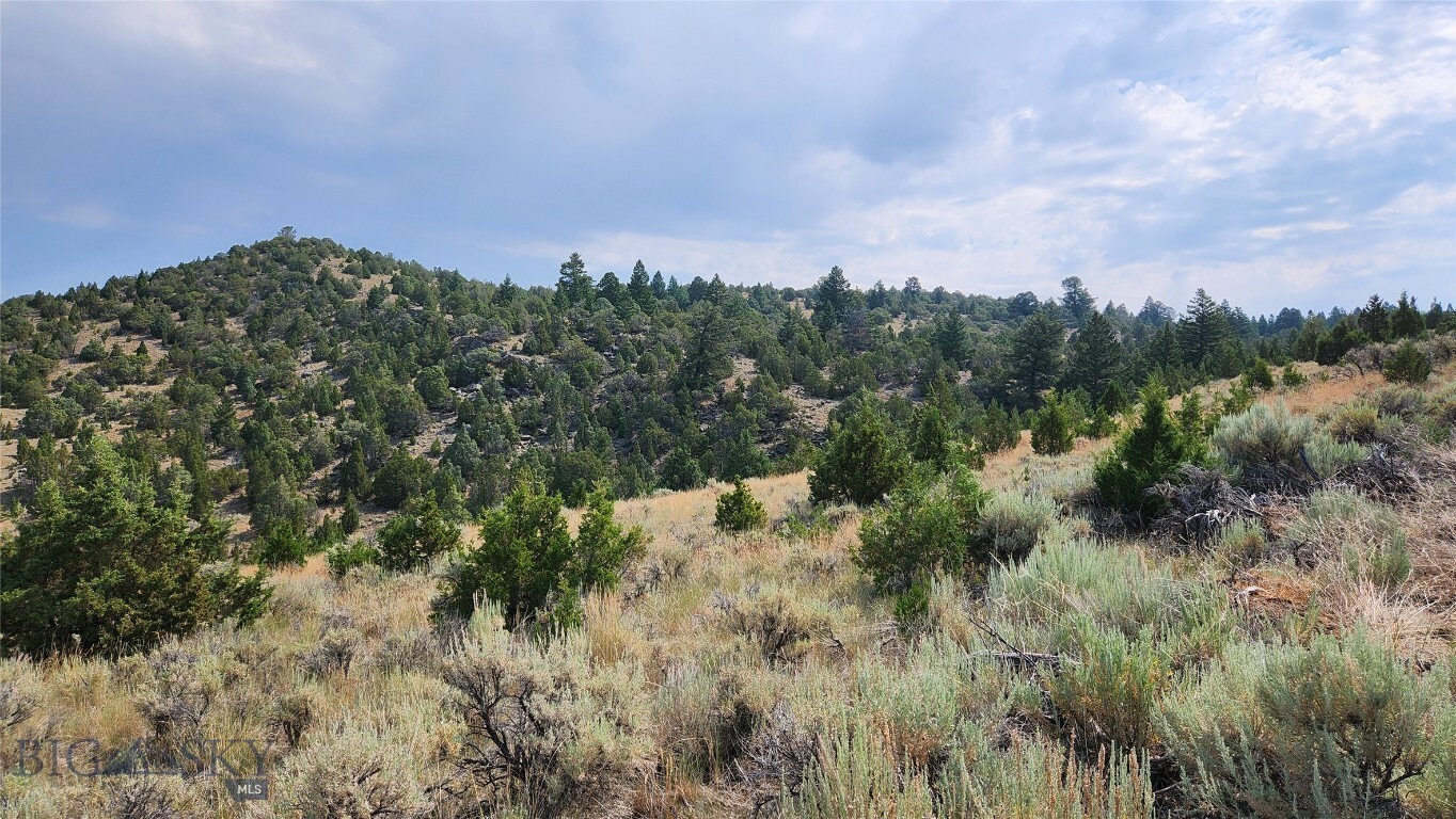 Property Photo:  160 Acres Off Of Mt Hwy 287  MT 59710 