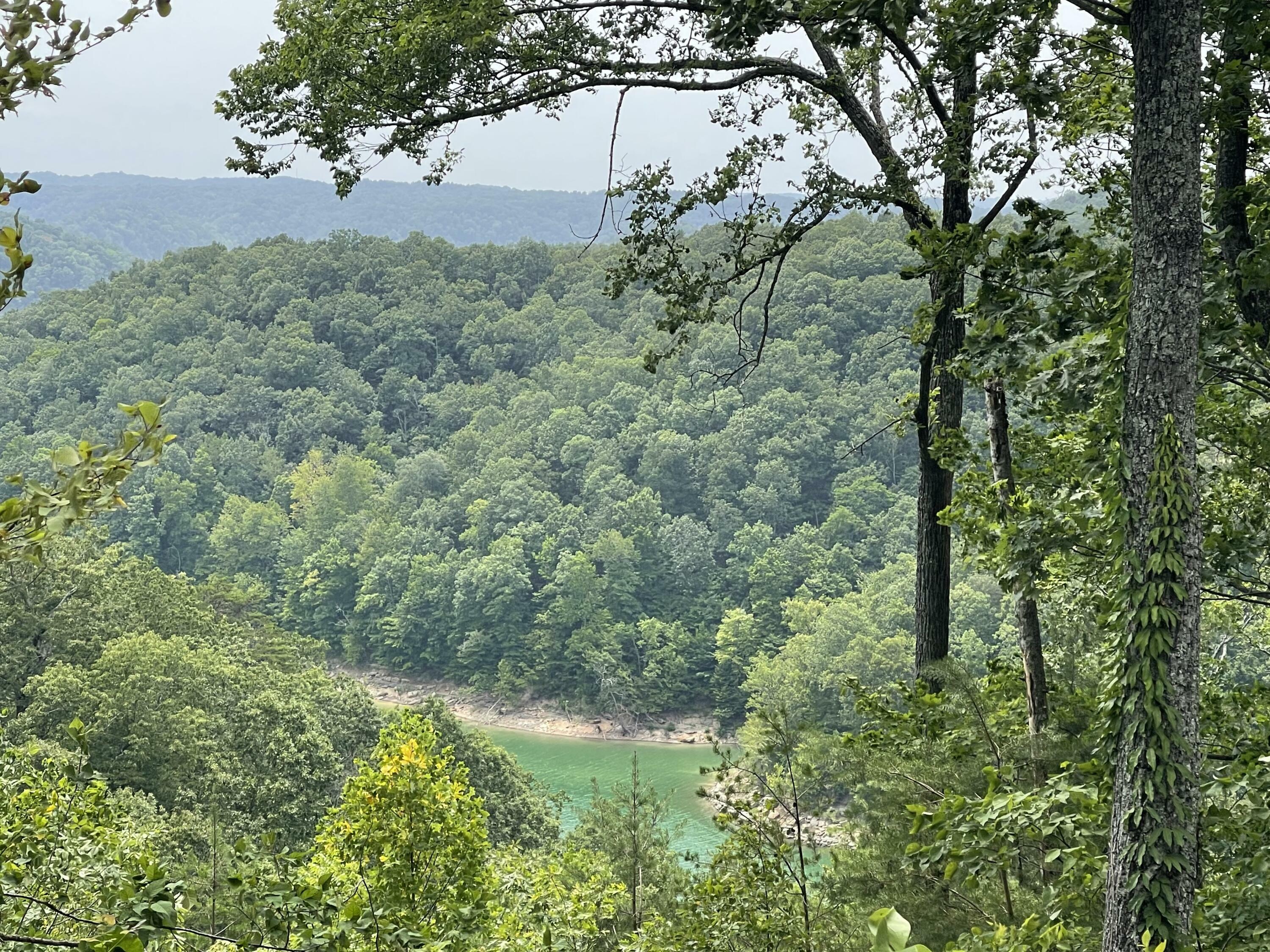 Property Photo:  Lot 35 Sandstone Point  KY 42633 