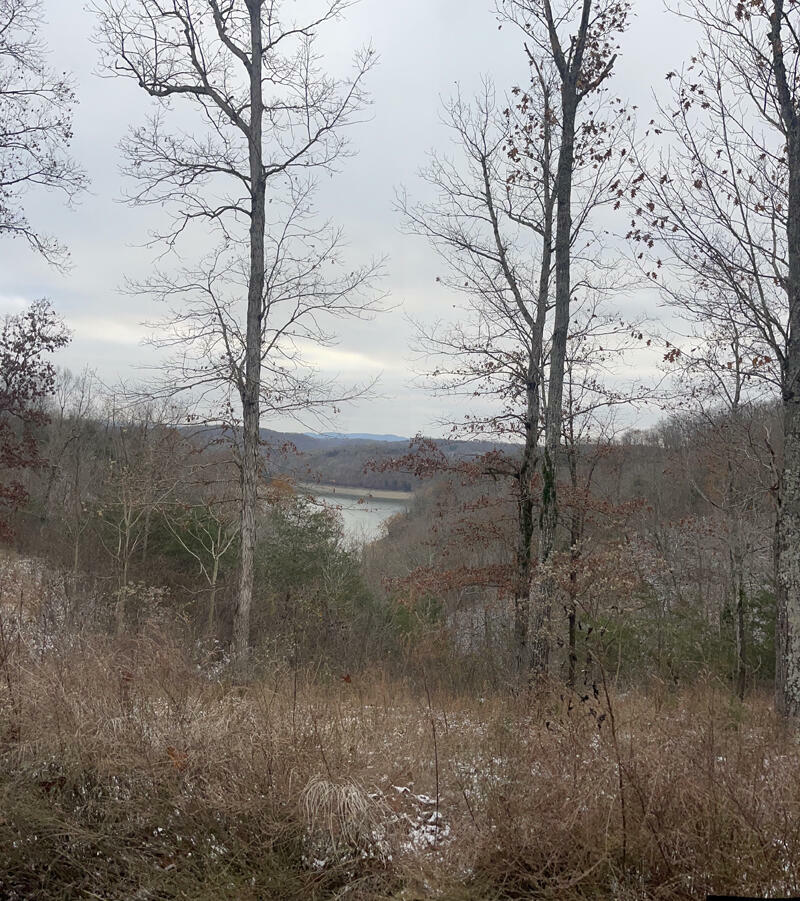 Property Photo:  Lot 35 Sandstone Point  KY 42633 