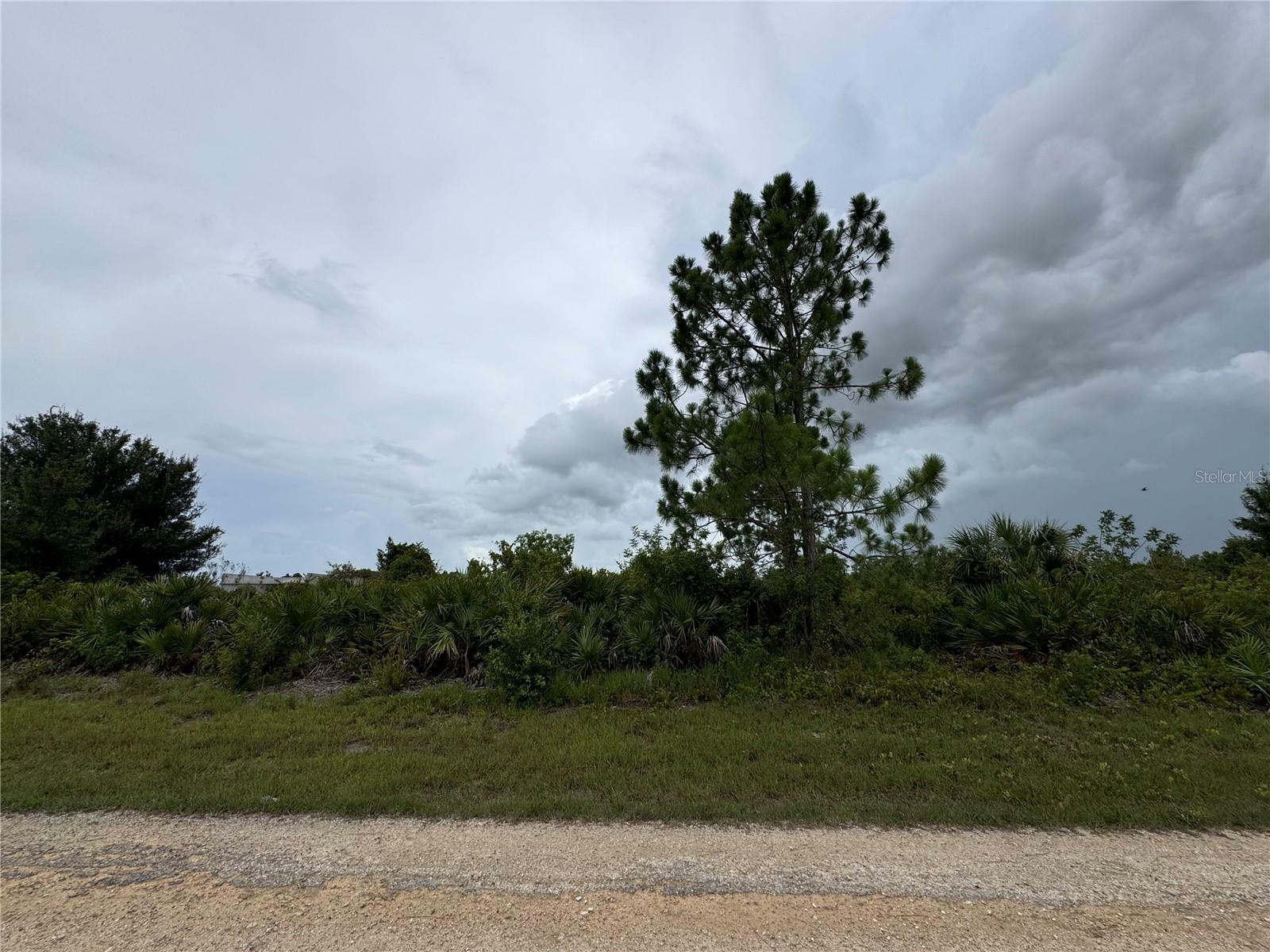 Property Photo:  732 Central Street E  FL 33974 