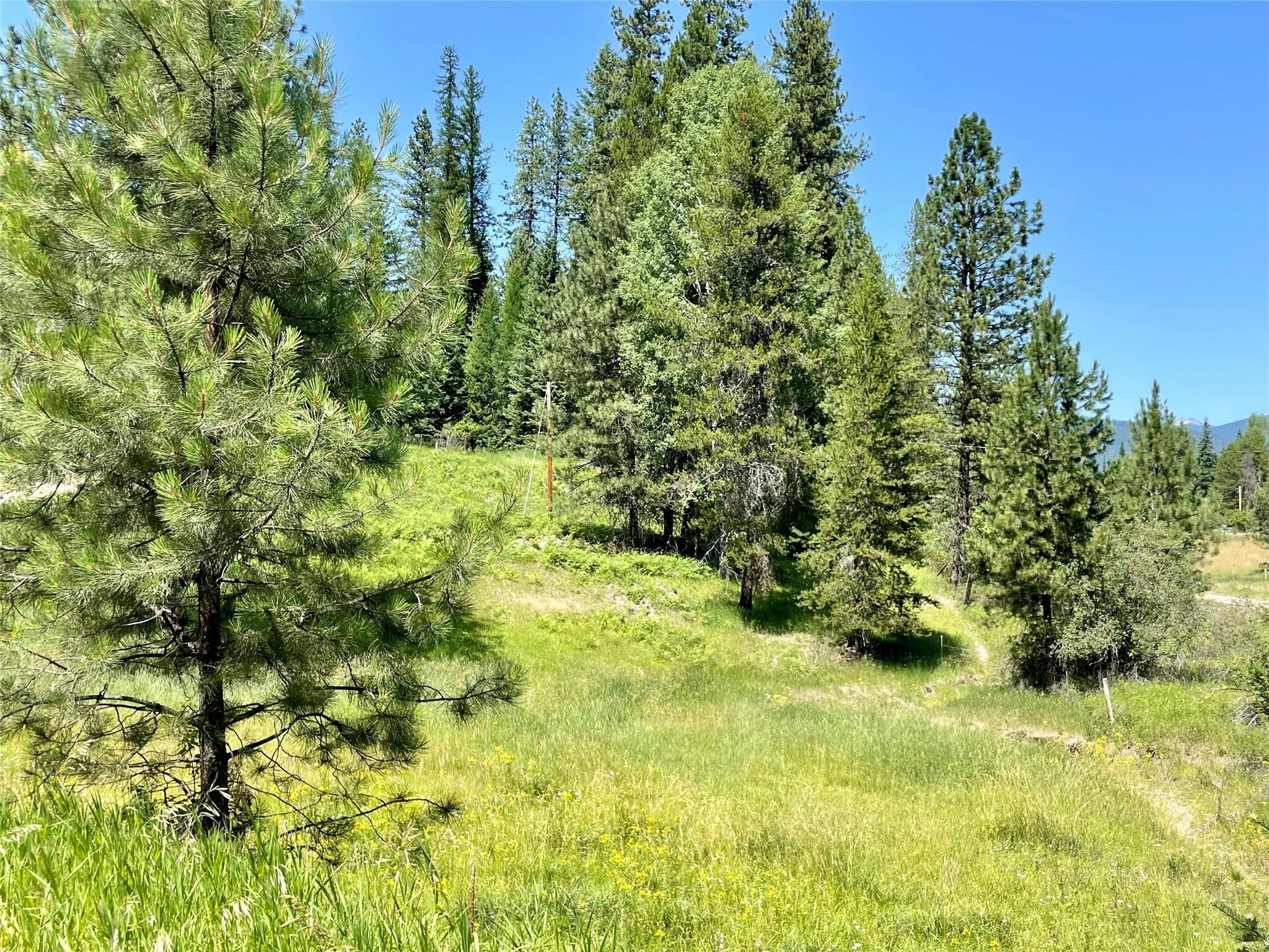 Property Photo:  235 Old Highway 200  MT 59874 