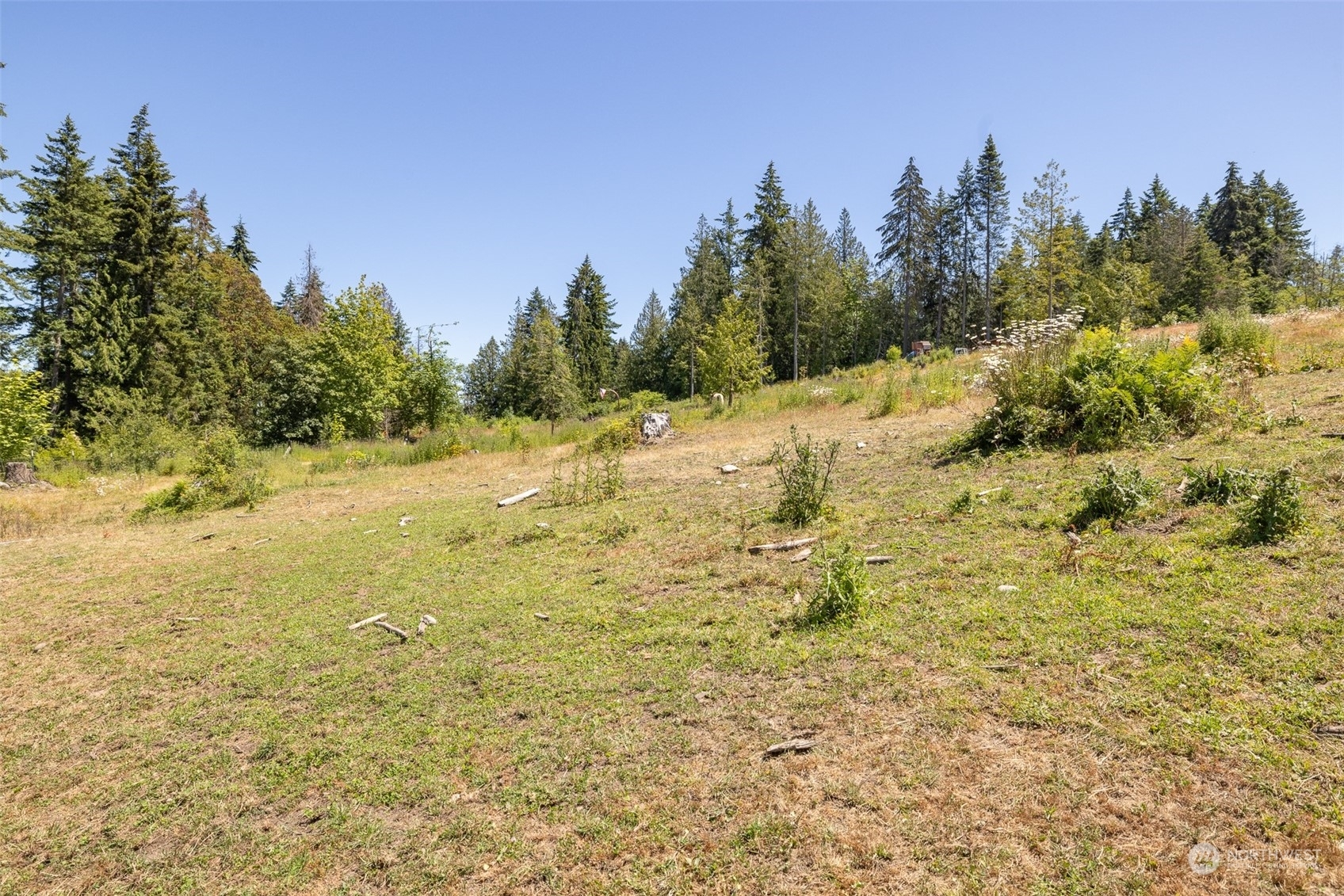 Property Photo:  9999 Bravo Rd., Lot 3  WA 98362 