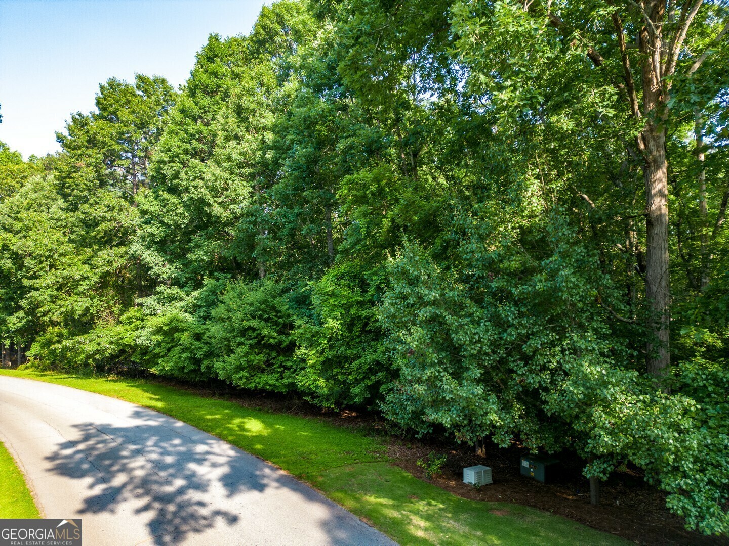 Property Photo:  190 River Cove Meadows  GA 30025 