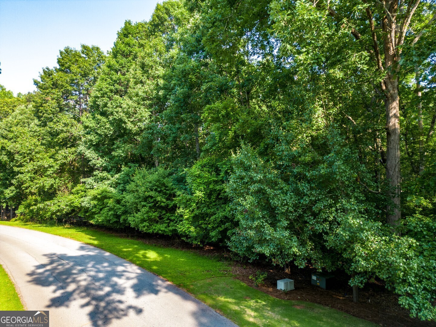 Property Photo: 190 River Cove Meadows GA 30025