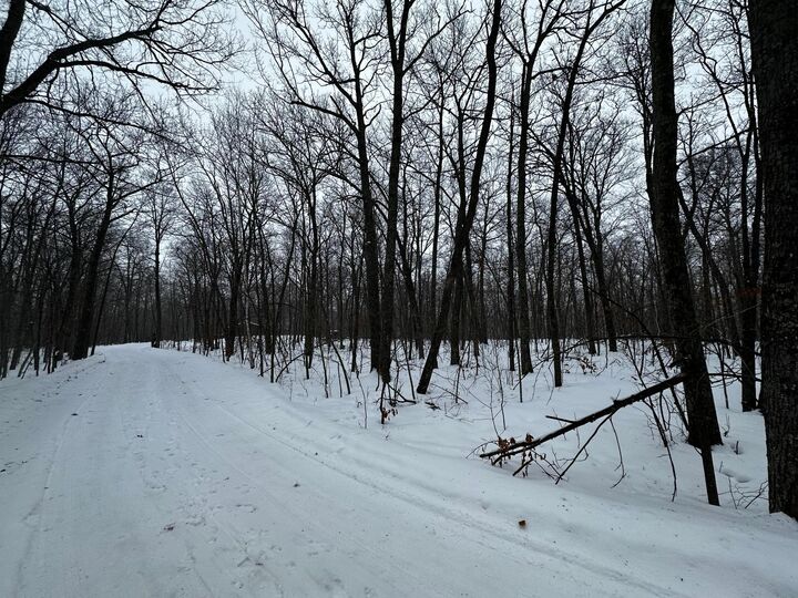 Property Photo:  Xxx Wilson Lake Drive  MN 56444 