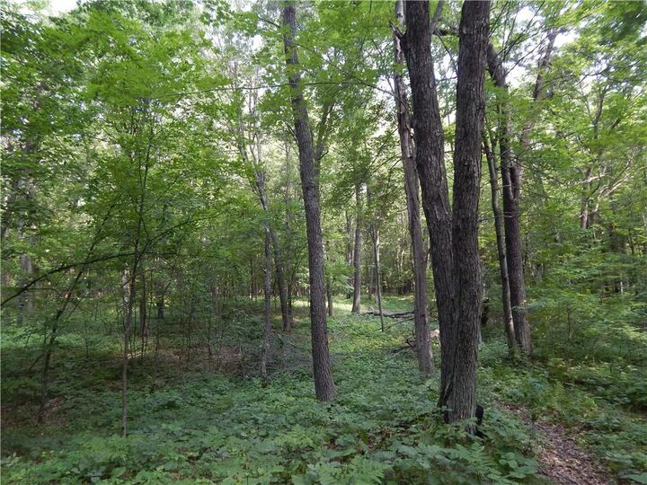 Xxx Fosberg Road  Siren WI 54872 photo