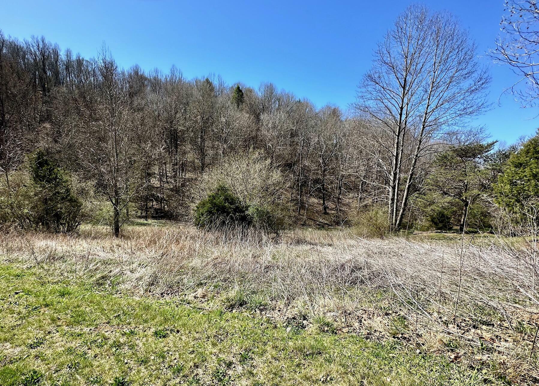 Property Photo:  Lot 20 Perilla Rd Road  TN 37722 