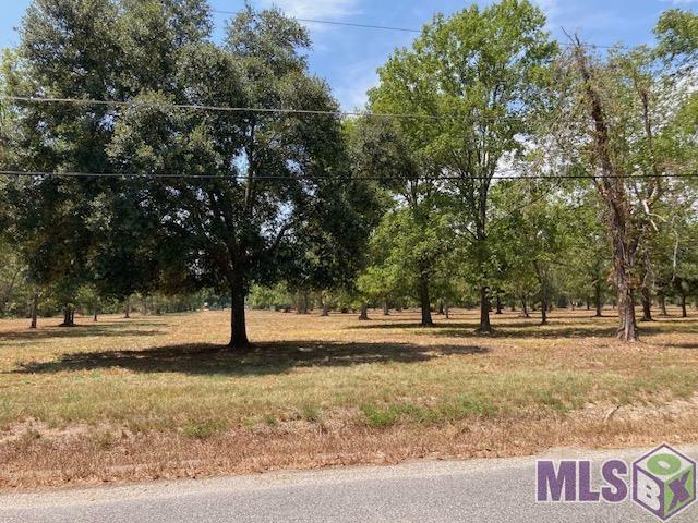 Property Photo: 14169 A Poirrier Rd LA 70737
