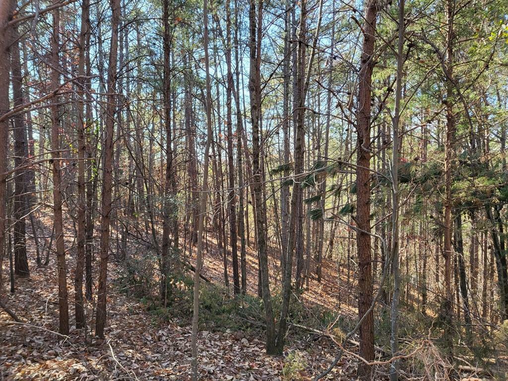 Property Photo:  13900 Hwy 411  GA 30705 