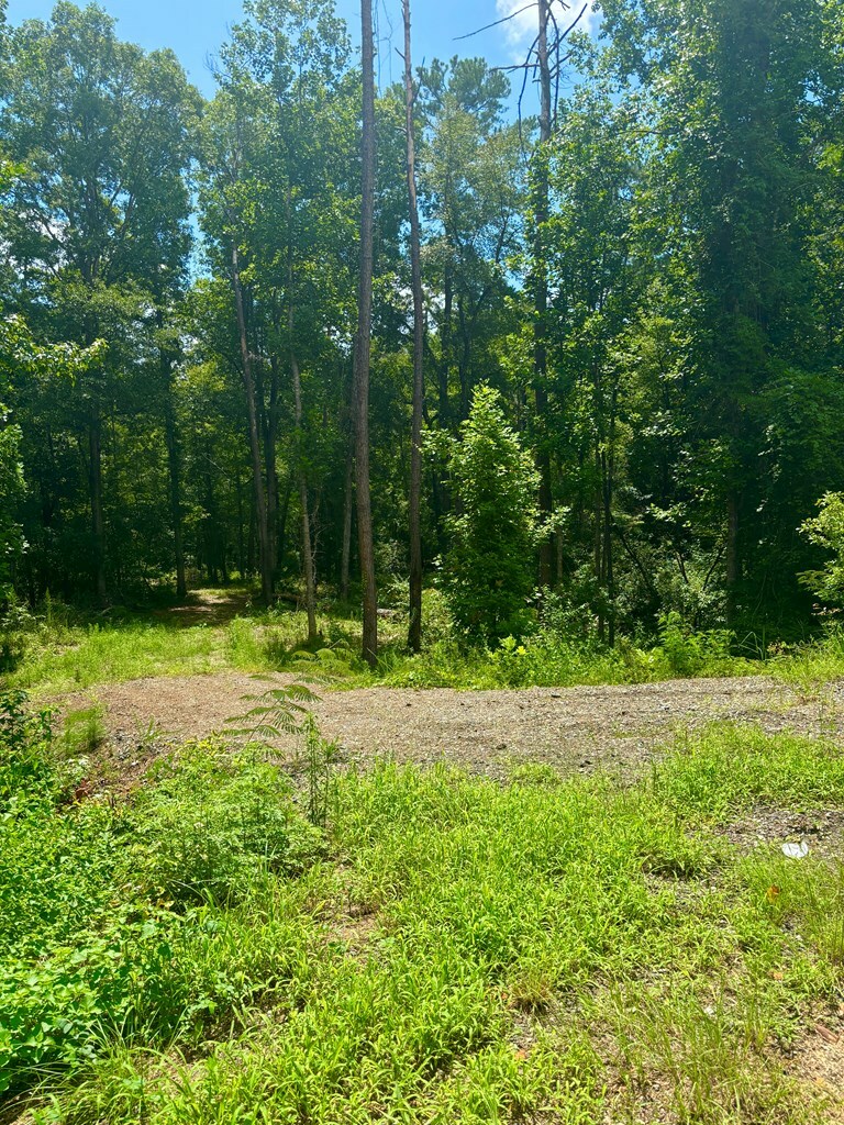 Property Photo:  423 Five Mile Rd.  AL 36027 