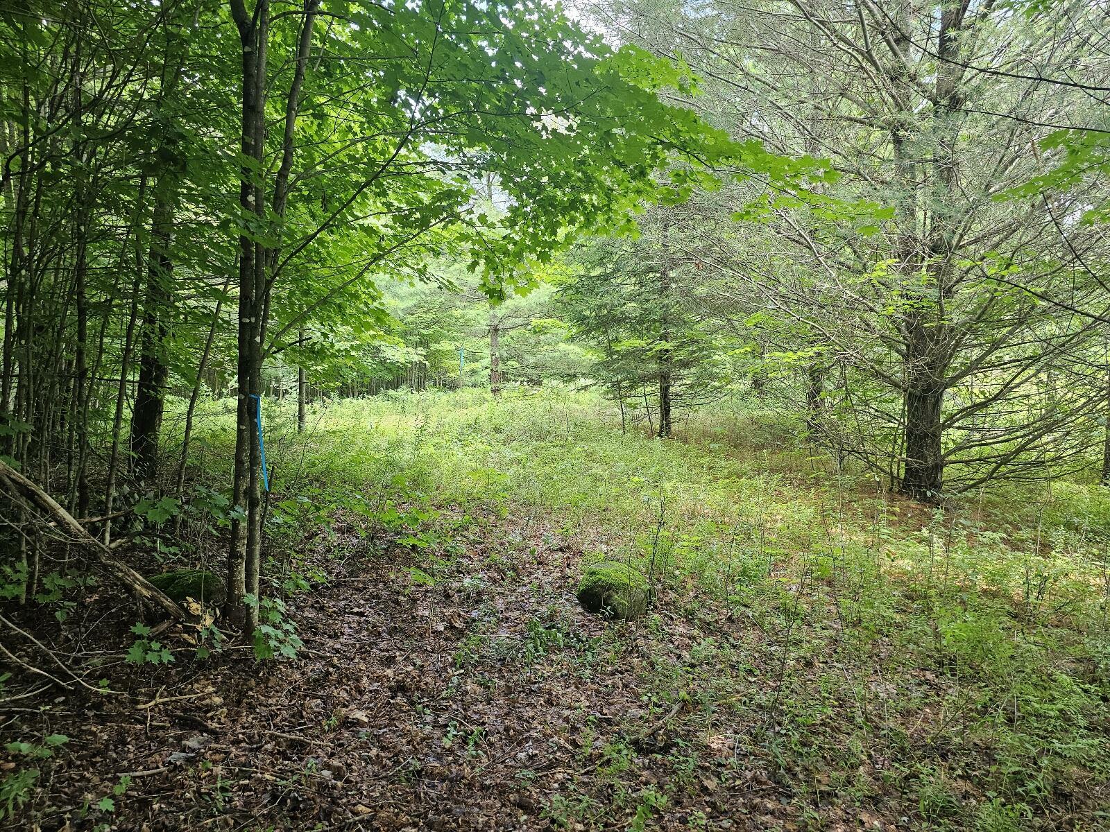 Property Photo:  9907 Sh 3  NY 12973 