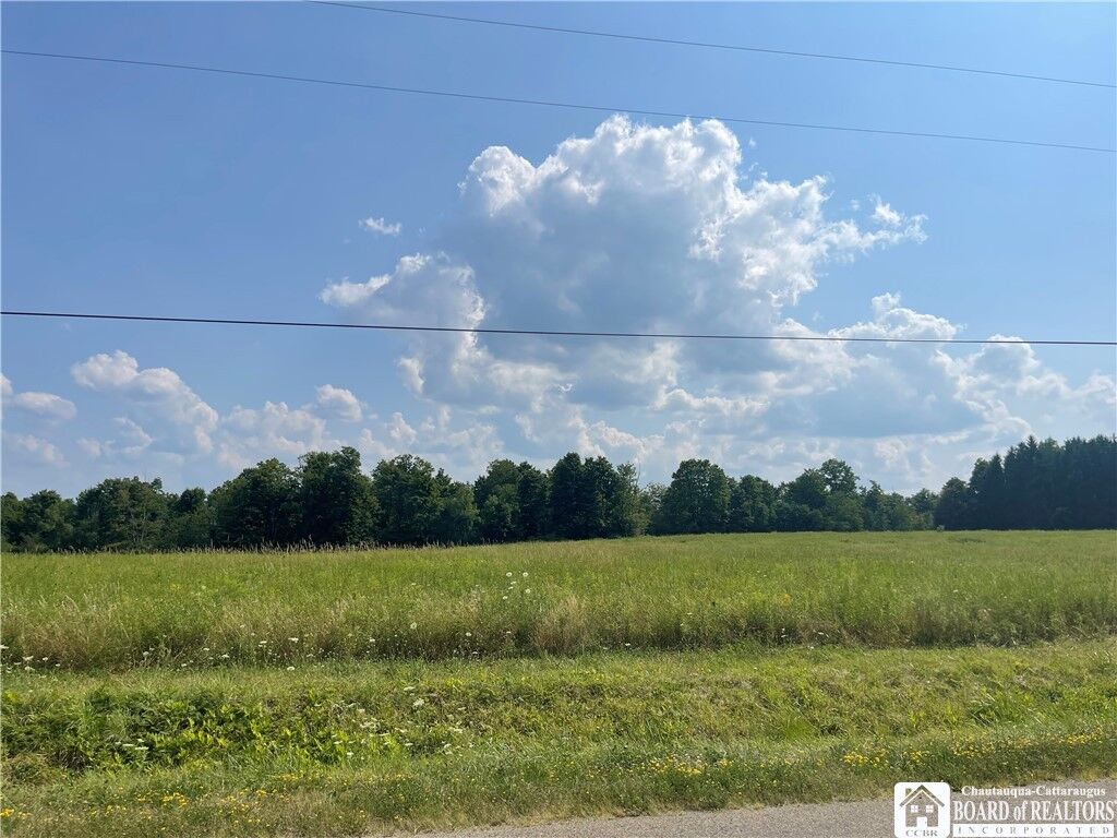 Property Photo:  0A Cobb Road  NY 14747 