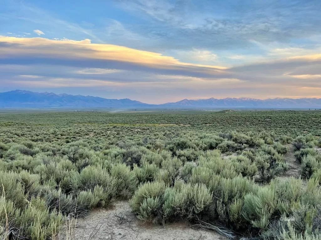 Property Photo:  10 Acres North River Ranch N  NV 89801 