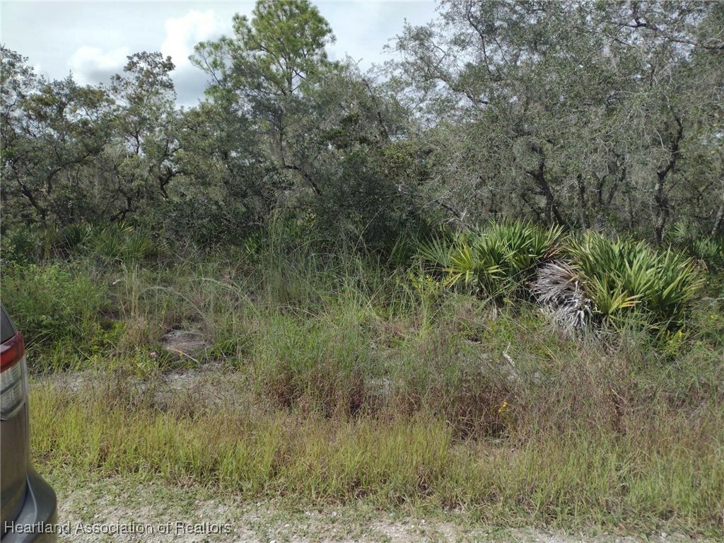 Property Photo:  3041 Cacao Road  FL 33852 