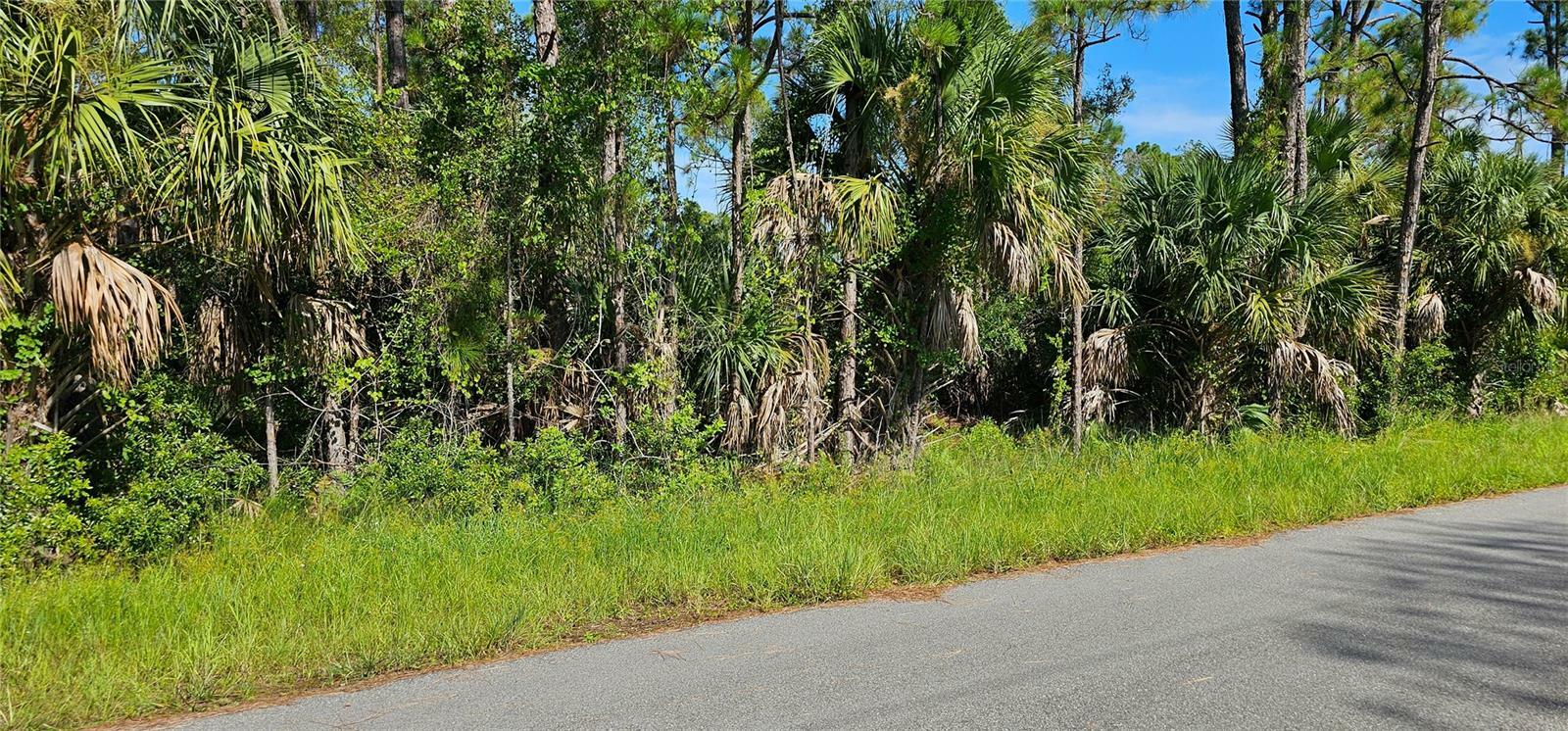 Property Photo:  Lummus Street  FL 34286 