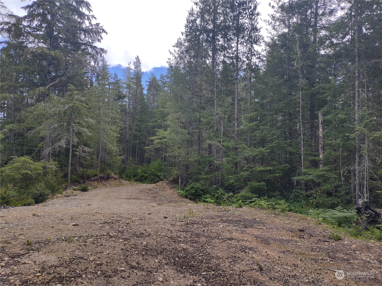 Property Photo:  0 Bedrock Rd.  WA 98528 