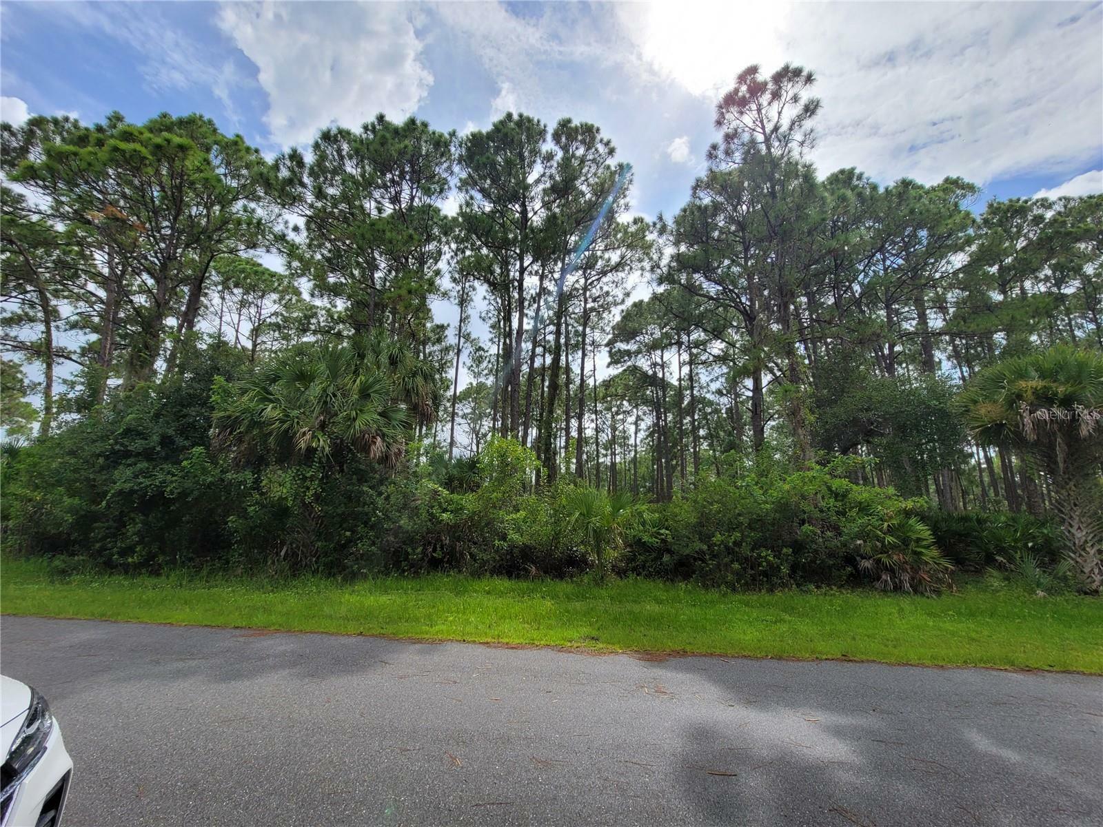 Property Photo:  12501 Welon Avenue  FL 33953 