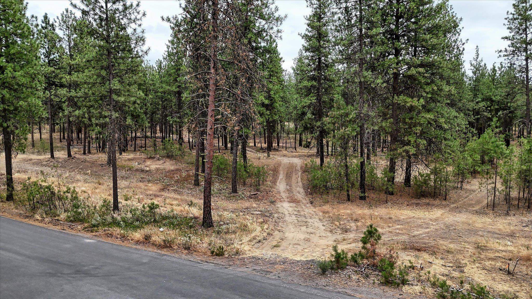 Property Photo:  18505 W Buckboard Rd  WA 99022 