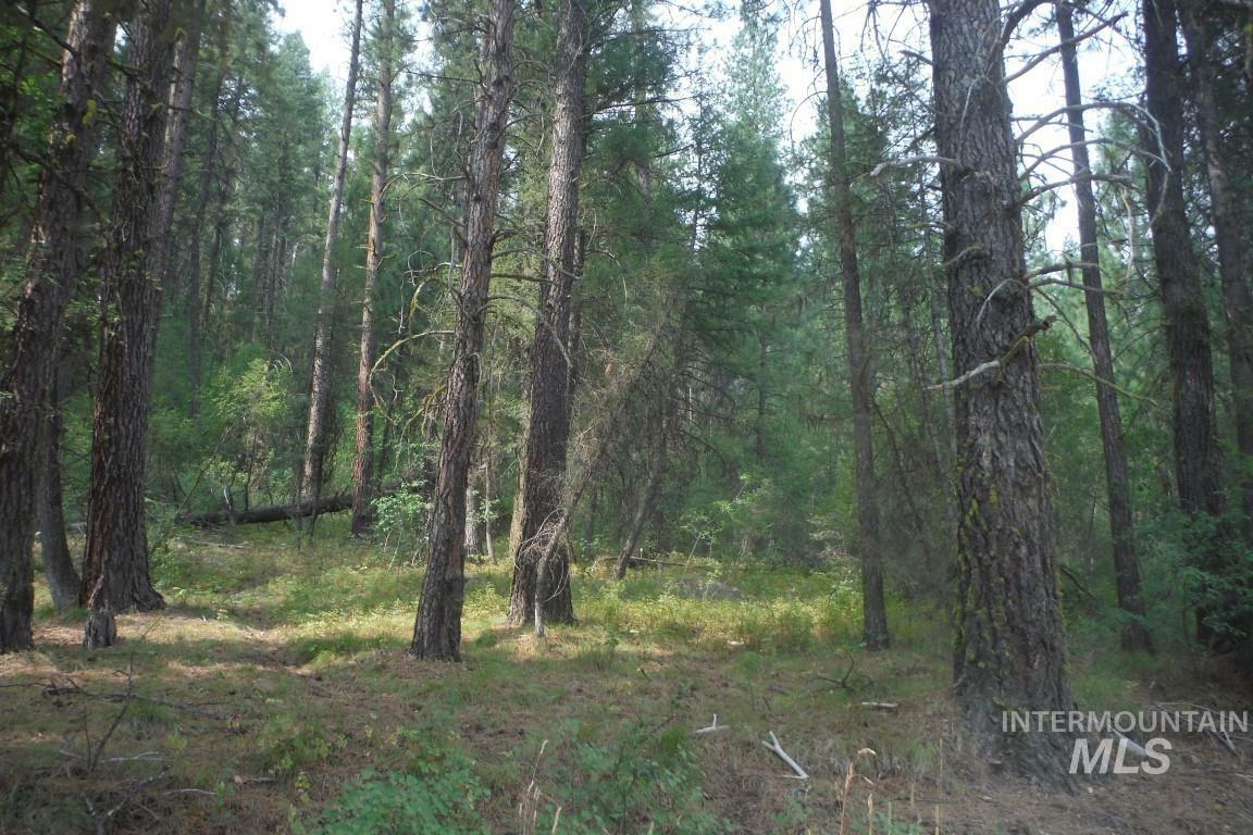 Property Photo:  Lot 79 Clear Creek Estates # 4  ID 83716 