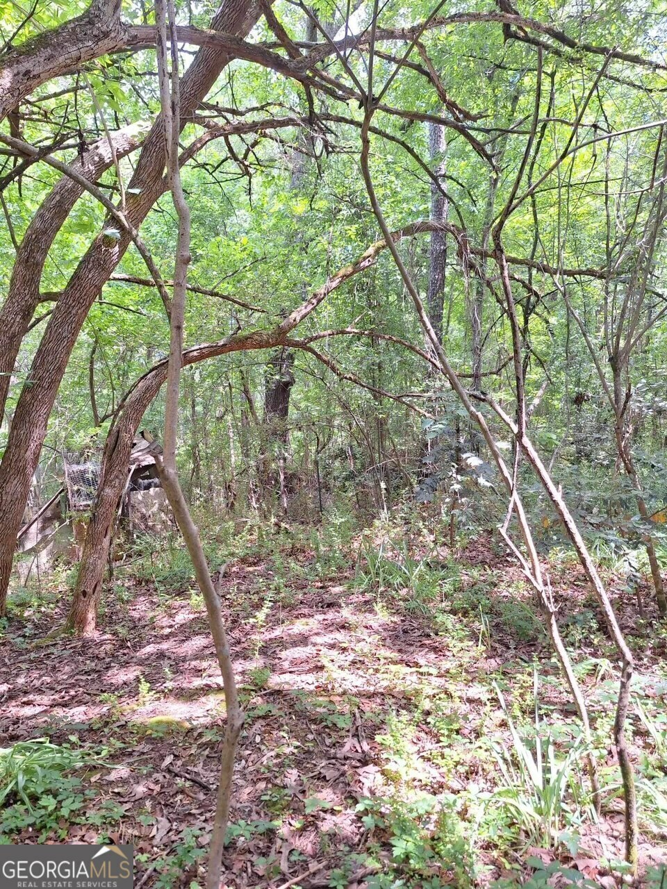 Property Photo:  541 B Ellis Dairy Road  GA 30224 