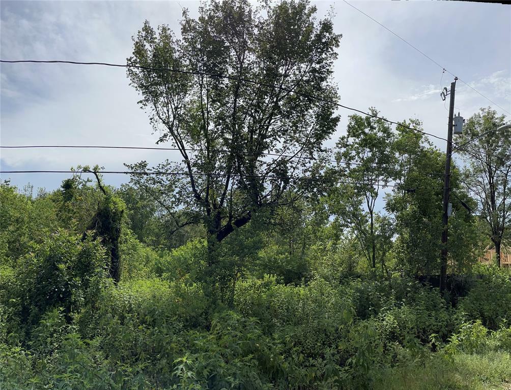 Property Photo:  Lot 6 Queensland St  TX 77028 