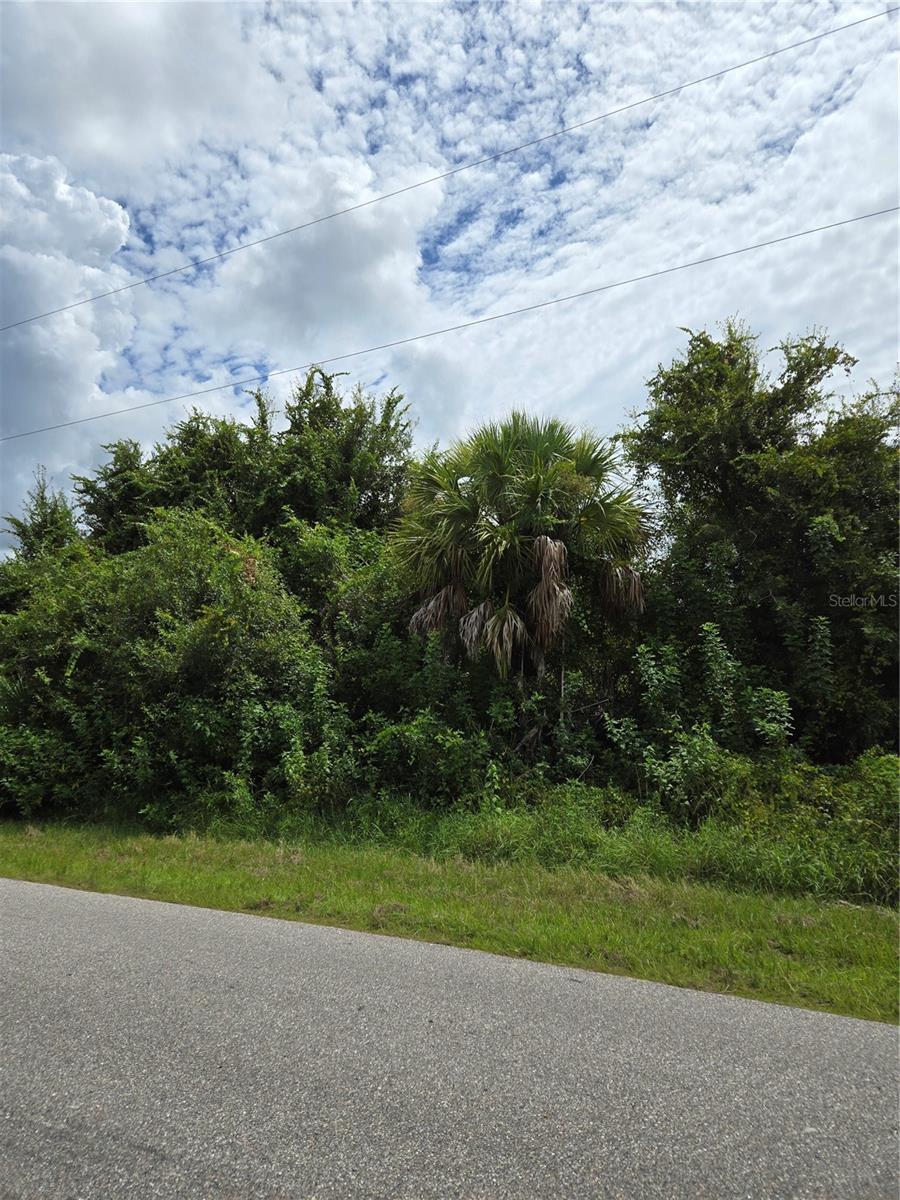 Property Photo: S Torrington Street Lot 5 FL 34288