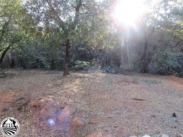 Property Photo:  Lot 31 Jupiter Mountaineer  CA 95383 