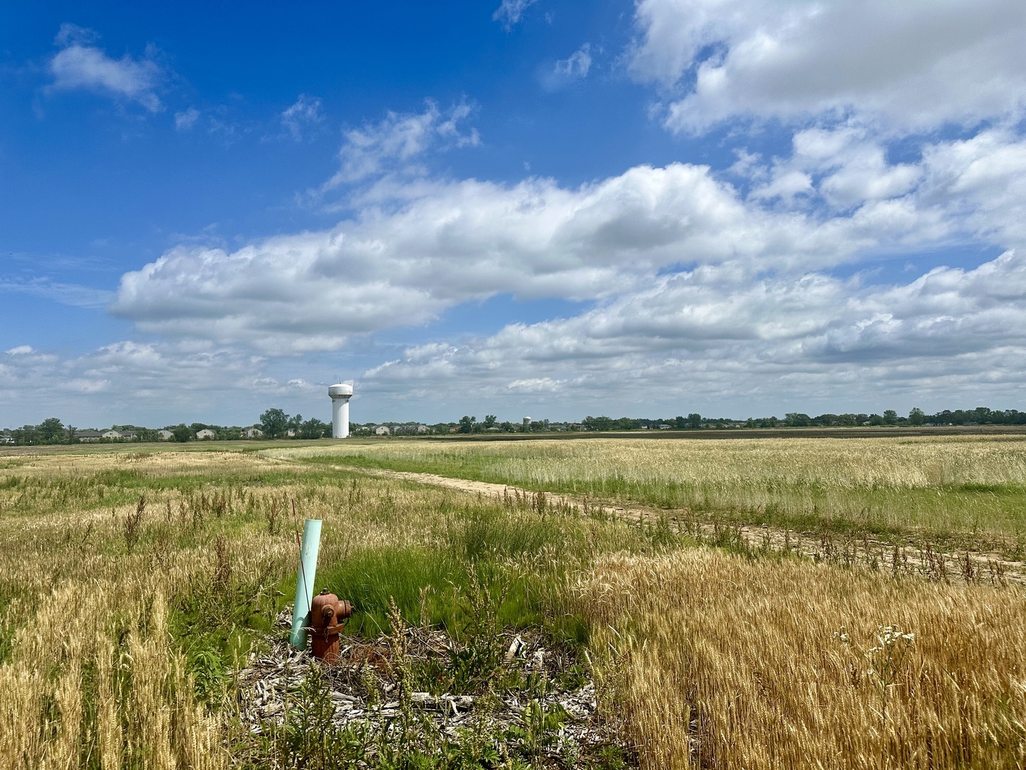 Property Photo:  2504 Glenwood Dyer Road  IL 60411 