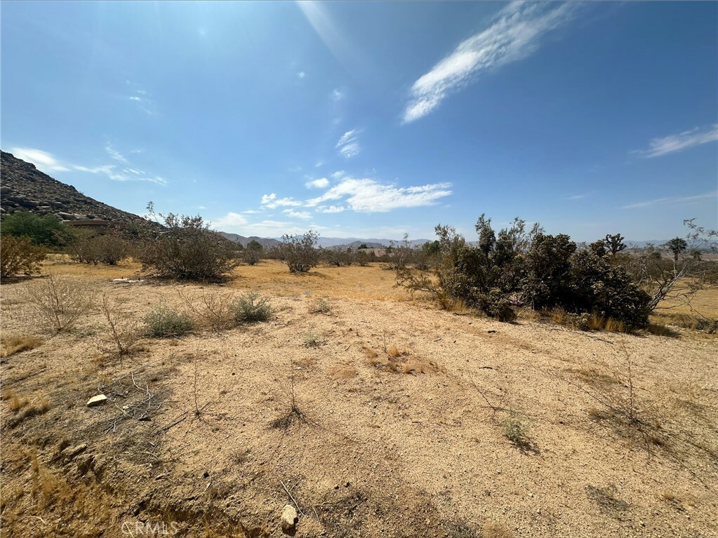 Property Photo:  0 Waalew Road  CA 92307 