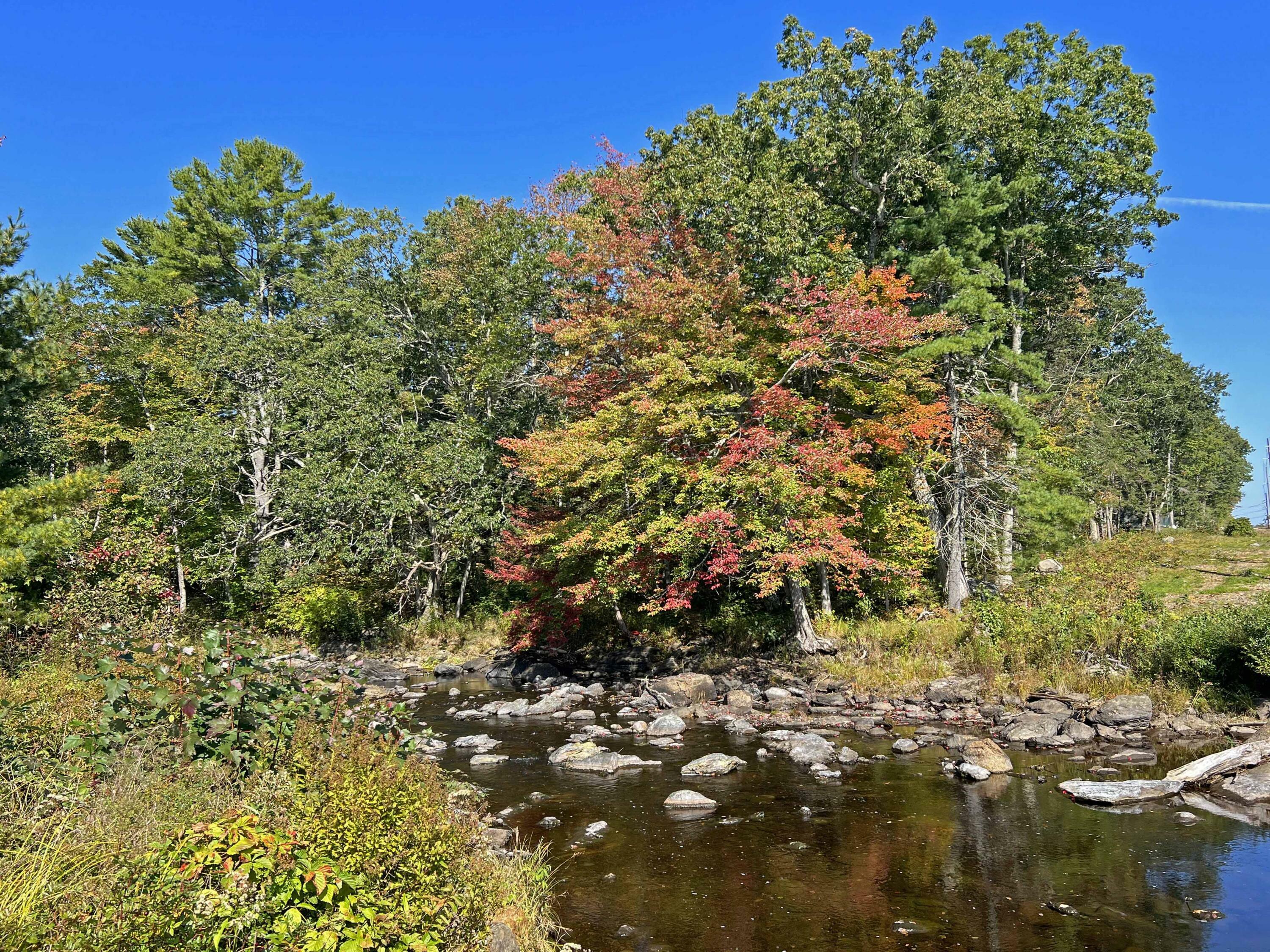 Property Photo:  263 Christian Ridge Road  ME 04605 