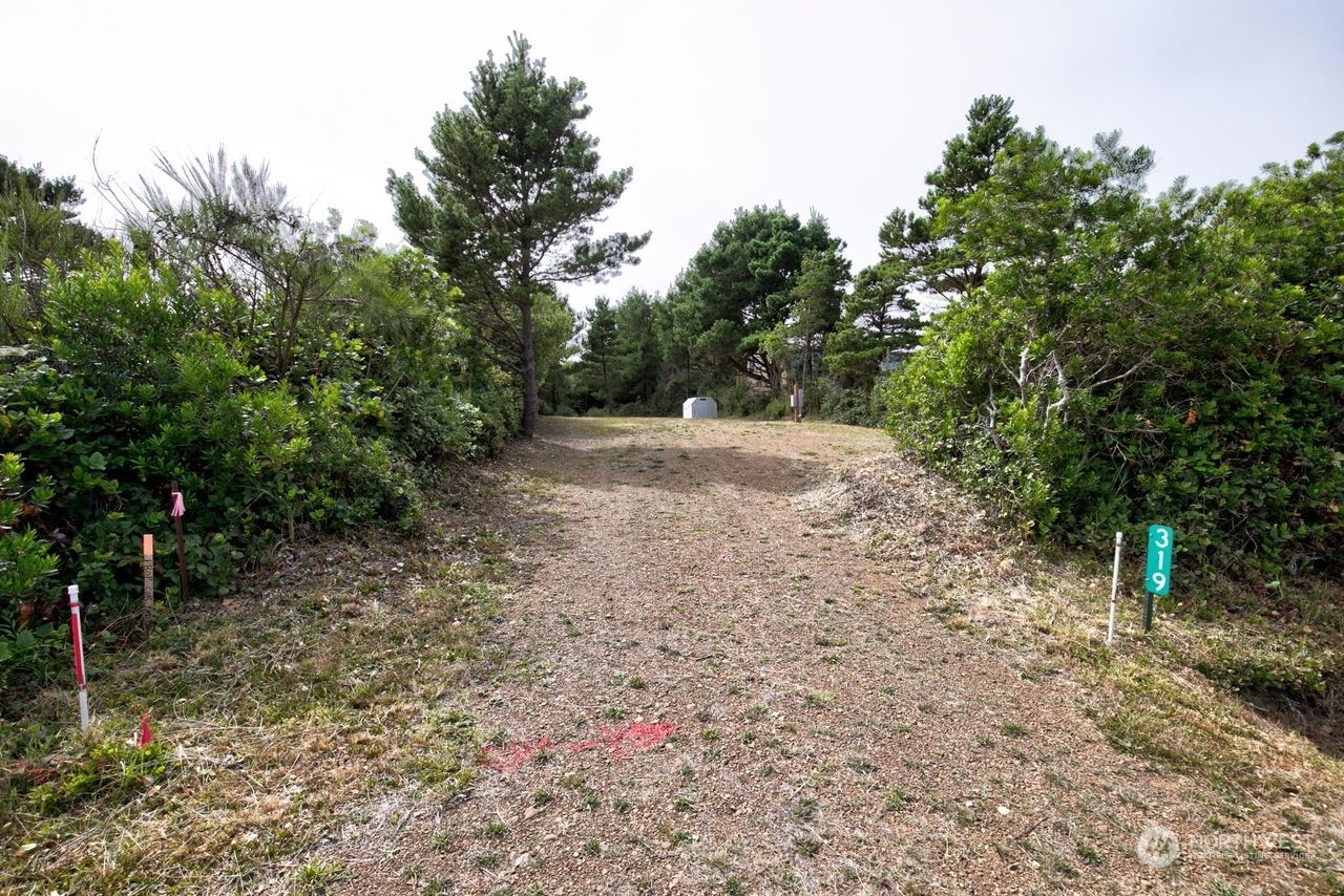 Property Photo:  319 Sand Dune Avenue NW  WA 98569 